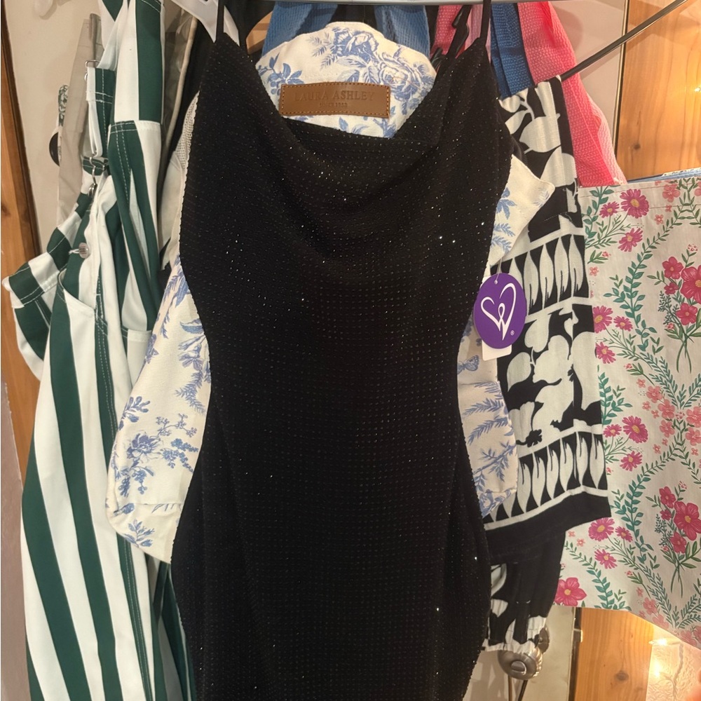 Windsor Black Mini Dress